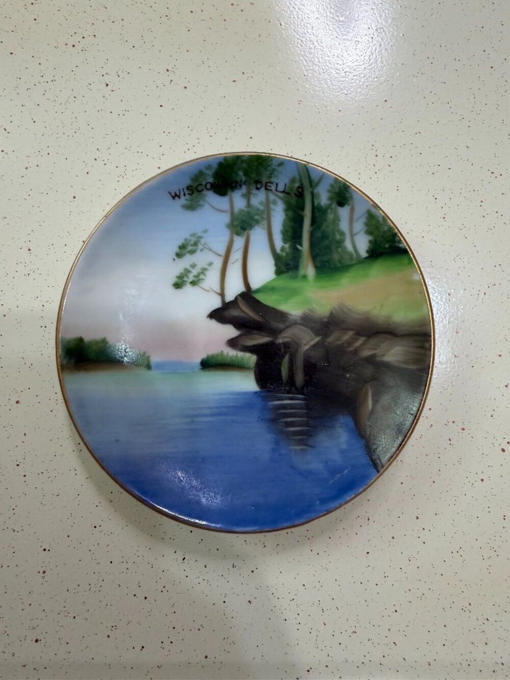 Vintage Wisconsin Dells Hand Painted Japan Porcelain Souvenir Plate 4”